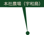 本社農場(宇和島)