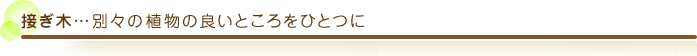 接ぎ木・・・別々の植物の良いところをひとつに