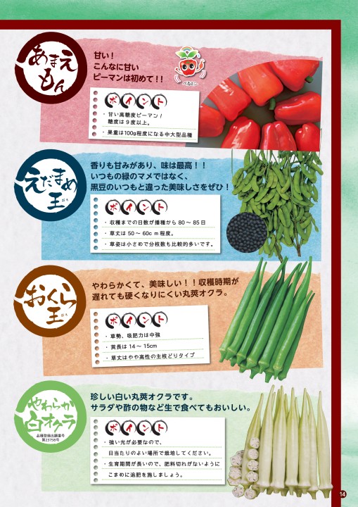 ベルグアース商品カタログvol 5