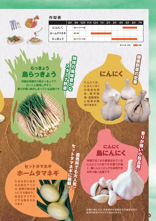 ベルグアース商品カタログvol 5 ベルグアース商品カタログvol 5