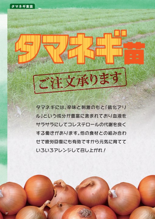 ベルグアース商品カタログvol6