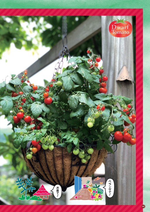 ベルグアース商品カタログvol6