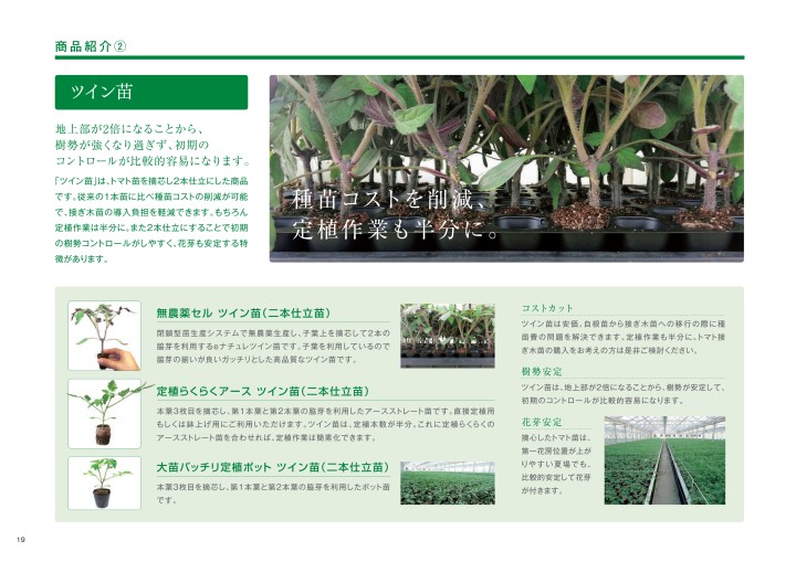 ベルグアース会社案内